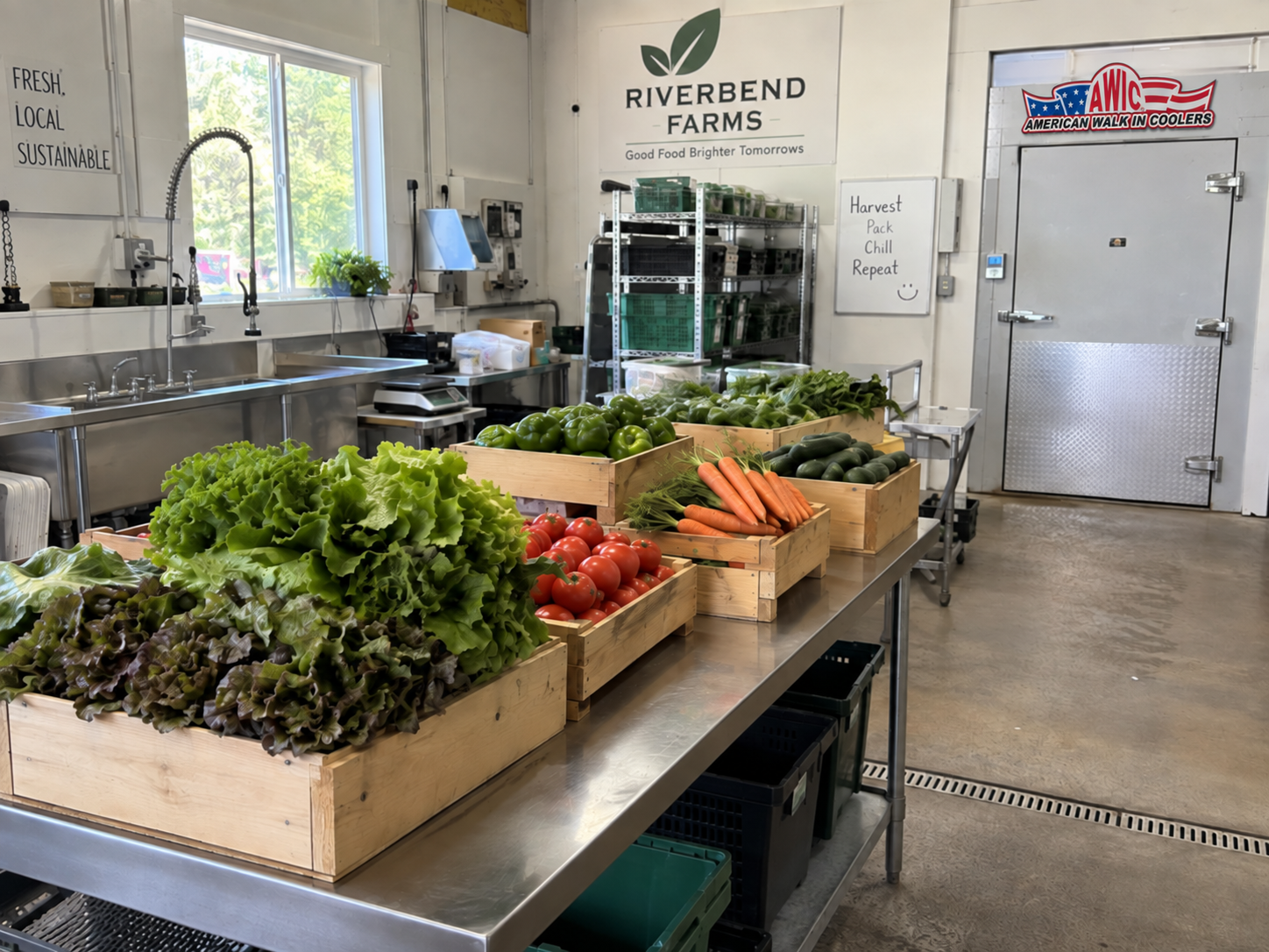 Garden harvest packing area beside organized freezer storage